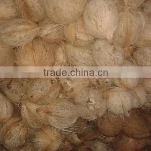 Organic Coconuts Exporter thumbnail-2