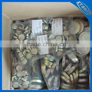 Good Performance Stainless Steel/brass/iron With Zinc Auto Water Plug Supplier thumbnail-2