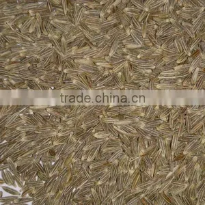 Cumin Seed Singapore Quality New Crop 2016 thumbnail-4