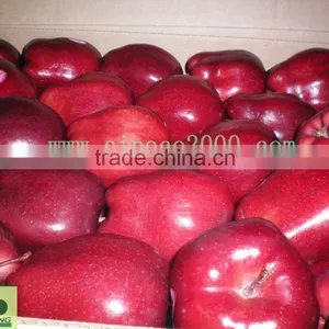 2015 Crop Fresh Red Delicious Apple thumbnail-1