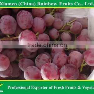Top Quality Fresh Sweet Yunnan Red Grapes for Sell With POP SGV Brand thumbnail-6