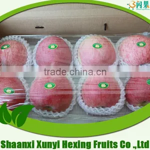 Tasty Fresh Red Fuji Apple Shipped by Frozen Box thumbnail-1