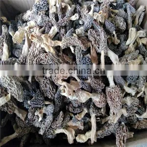 Dried Morel Mushroom Black Fungus Mushroom Market Prices for Mushroom thumbnail-1