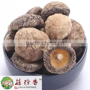 Autumn Planting Dried Shiitake Mushroom 5kg/bag thumbnail-1