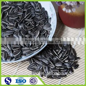 New Crop Big Size 3939 Sunflower Seeds Wholesale thumbnail-1