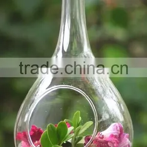 Clear Glass Hanging Plant Ball High Quality thumbnail-1