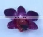 Orchid Accessories thumbnail-5