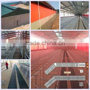 Pig Equipment Pig Farming Systemfor Pigs thumbnail-5