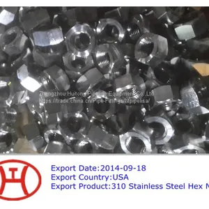 310 Stainless Steel Hex Nut thumbnail-1
