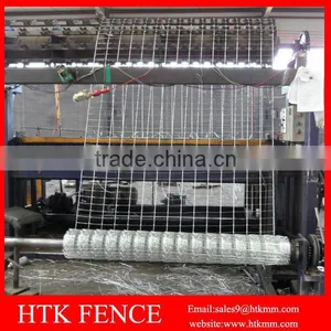 Long Service Life Galvanized Grassland Protection Fence/Farm Fencing thumbnail-5