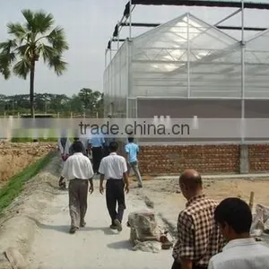 Polycarbonate Greenhouse For Sale thumbnail-3