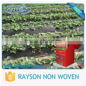 Wholesale 20-320cm Width Recyclable Landscape Fabric Agriculture Cover thumbnail-4