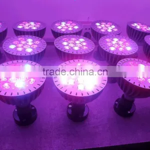 Warm White Indoor Plant Light ,par Light,led Lighting thumbnail-2