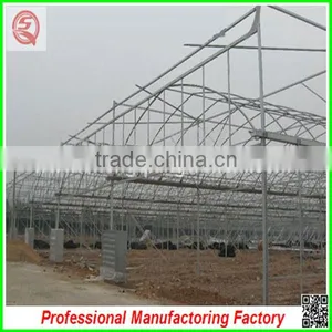 Hot Sale Multi-span Plastic 9.6m PE Plastic Film Agriculture Greenhouse for Garden thumbnail-4