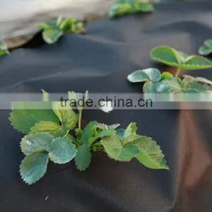 Argrecutural Nonwovens PP Spunbonded Non-Woven Fabric for Agricultural Us thumbnail-3