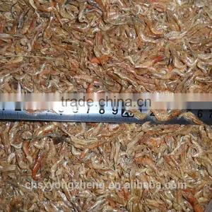 2mm Microwave Dired Shrimps For Pet Food ; Red Dried Shrimps thumbnail-3
