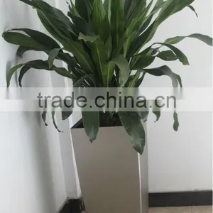 Outdoor Flower Pots,big Flower Pots,flower Pot Idea thumbnail-1