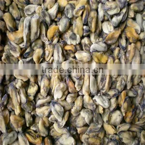 Delicious Bule Mussel Meat thumbnail-1