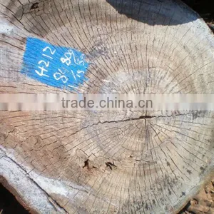 KEURING ROUND LOGS thumbnail-1