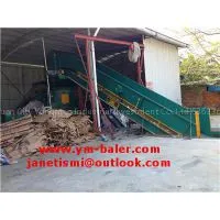 Professional Export, thumbnail-1