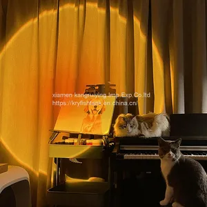 2021 Popular Product Led Lamp Multiple Colors Available Sunset Lamp Projector Hot Sale Robot Sunset Lamp thumbnail-4