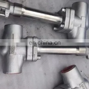 Forged Steel Check Valve Swing Type Cryogenic Treatment Degreased Treatment for Oxygen Liquid thumbnail-3