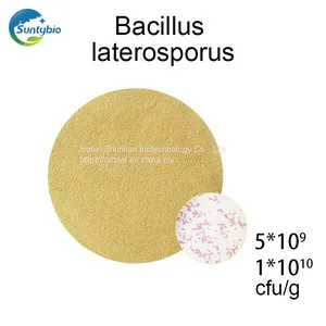 Bacillus Laterosporus thumbnail-1