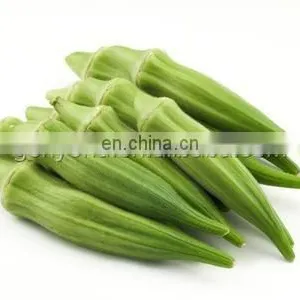 Okra Slicer Machine for the Sliced Drying Vegetable Processing thumbnail-3