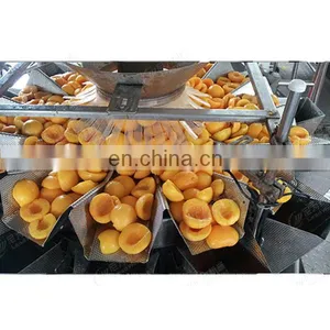 Tropical Fresh Fruit Production Line/Canned Yellow Peach Machine/processing Line thumbnail-1