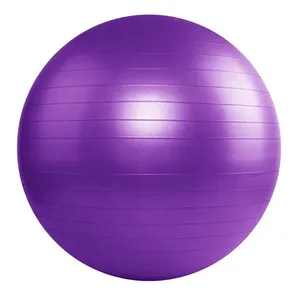 Eco-friendly PVC Anti Burst Heavy Duty Stability Fitness Exercise Yoga Gym Ball With Pump thumbnail-2