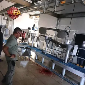 Automatic Complete Pig Slaughter Line Turnkey Modular Pig Abattoir Equipment Supplier From China thumbnail-5