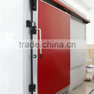 Sliding and Hinged Cooling Room Door thumbnail-1