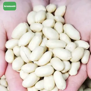 Bulk Blanched Peanut Kernels 25/29 for Snack Roasting thumbnail-4