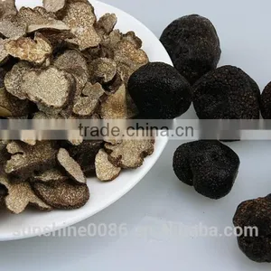 Dried Truffle Mushroom (in Fungus) thumbnail-6