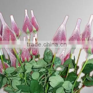 Cut Flower Net thumbnail-1