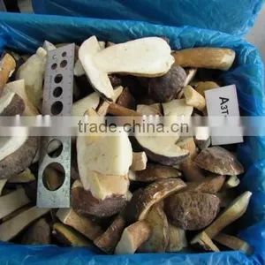 IQF Frozen Boletus Edulis (Bolete,Porcini,Grzyby) thumbnail-5