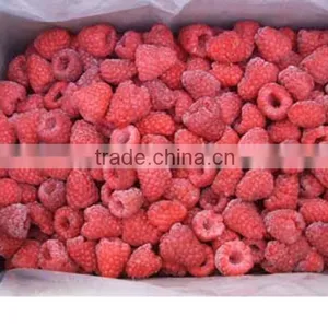 IQF Red Raspberry thumbnail-3