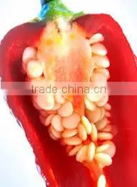 100% Natural Capsicum Oleoresin ( 2.5%, 5%, 8%. 10% ) thumbnail-1