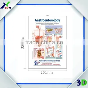 Anatomical Chart, 3d Embossed Plastic Poster, UV Print Pvc Poster thumbnail-3
