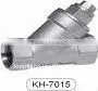Y-strainer thumbnail-1