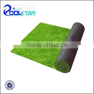 Swimming Pool Artificial Grass Rolls P2505 thumbnail-1