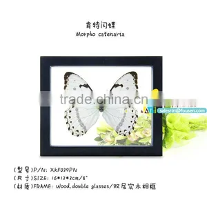 FOUSEN(039) Nature& Art Natural Species Halloween thumbnail-1