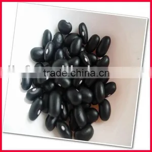 Black Kidney Beans 2010 Crop thumbnail-1