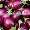 Fresh Brinjal thumbnail-1