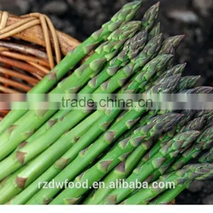 New Crop IQF Frozen Green Asparagus-dia 10-16mm thumbnail-1