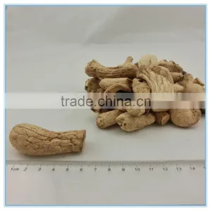 Buy Bulk Dried and Fresh Import Cogumelo Shiitake Mushroom Stipe Particle thumbnail-1