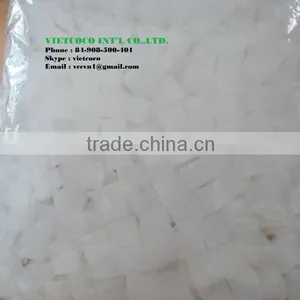 Jelly Nata de Coco thumbnail-1