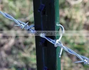 Green Color Coated 1.24lb Iron T-Post With Clips thumbnail-2