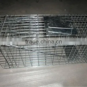 2015 the Most Popular Live Animal Traps (high Quality Wit Big Supply) thumbnail-1