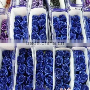 Customized Fresh Flowers Rose Flowers for Decoration thumbnail-1